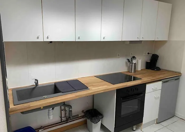 Apartment Maison Secteur Lille 8 Personnes Haubourdin